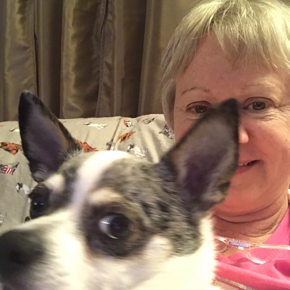 Meet your Posher, Kathy